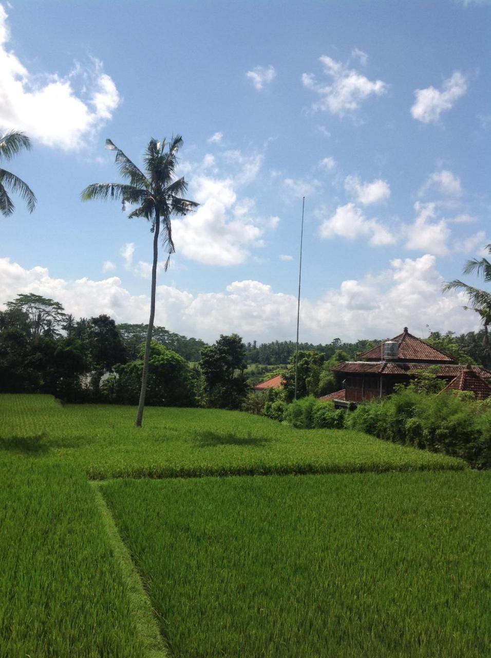 Uma Dhari Villa By Prasi Ubud Kültér fotó